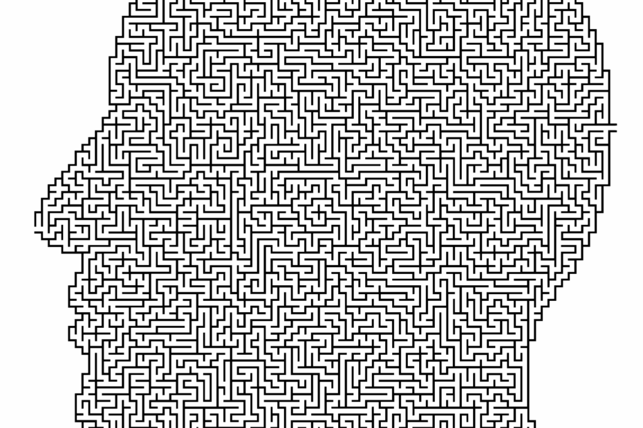 complexité humaine_OptiOrg ConsultiNg