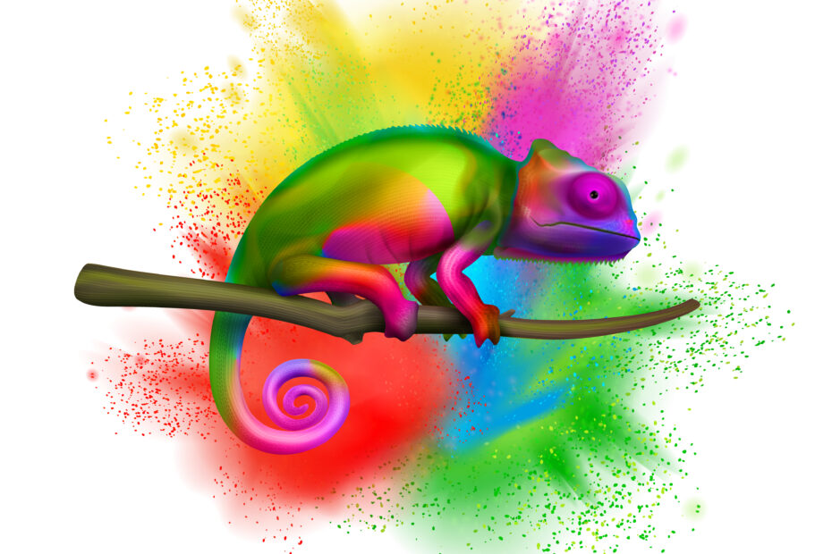 Caméléon-OptiOrg-Consulting