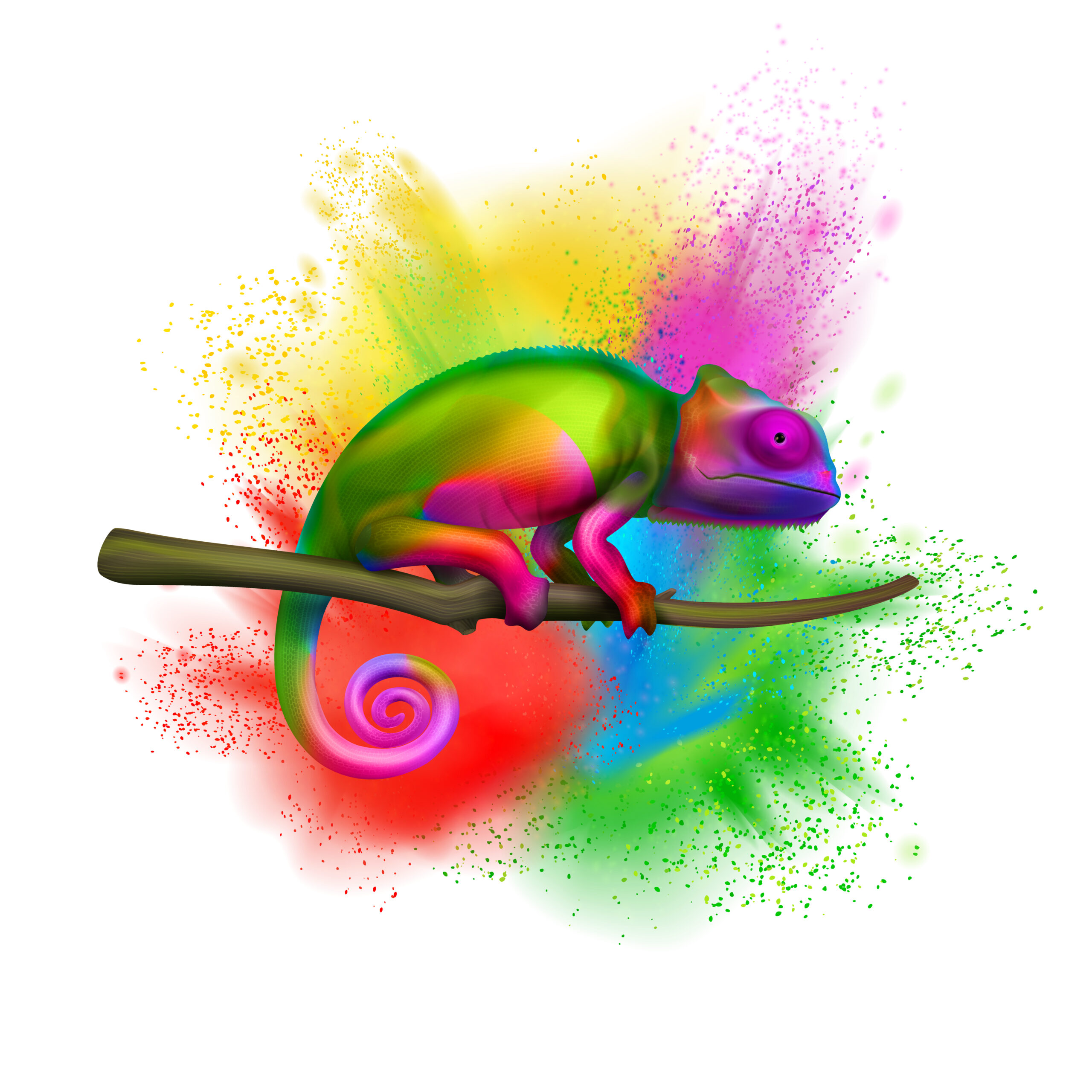 Caméléon-OptiOrg-Consulting