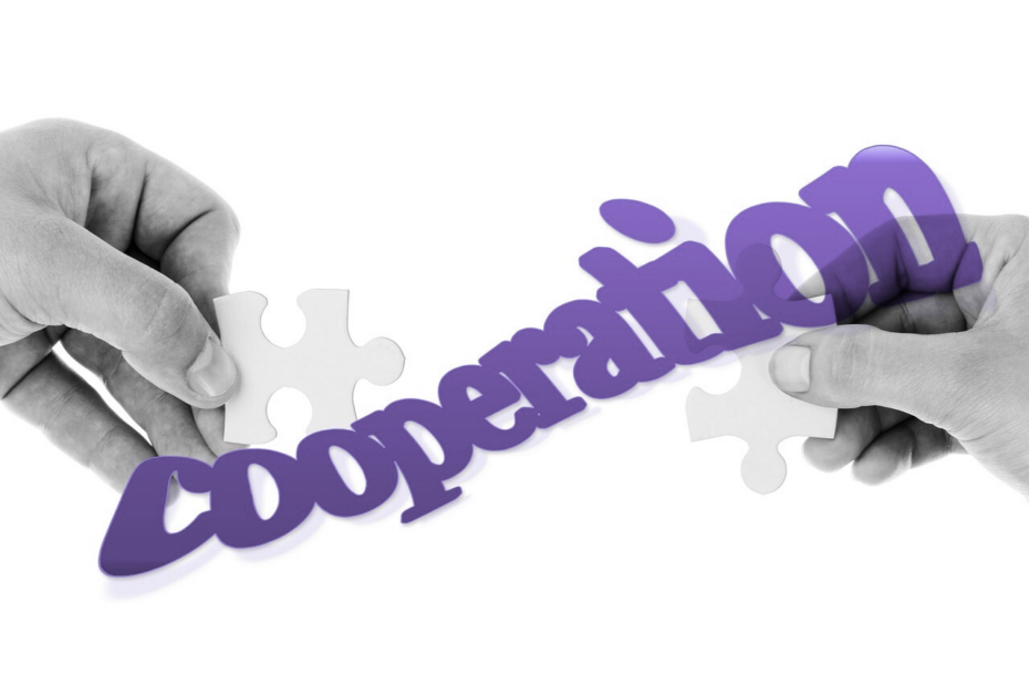 coopération_optiorgconsulting